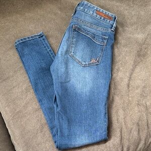 Express Classic Blue Skinny Jeans